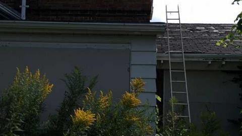 Summer 2015 - u-IMG_4669.jpg