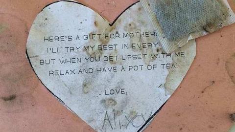 Summer 2015 - o-IMG_4670.jpg