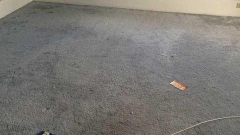 Summer 2015 - s-IMG_4713.jpg