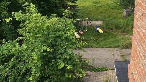 Summer 2015 - f-IMG_4734.jpg