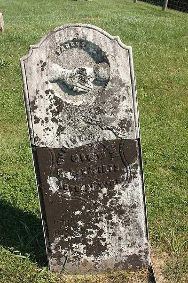 Barber Cemetery - Athens, Ontario
