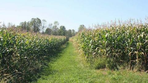 Sept 2015 - Barber-Cemetery16.jpg