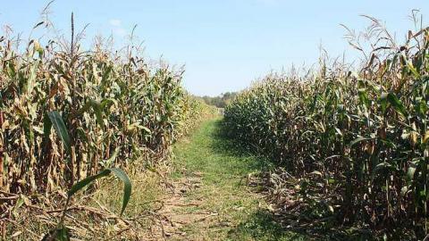 Sept 2015 - Barber-Cemetery2.jpg