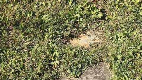 Sept 2015 - Bolton-Cemetery-(2)2.jpg