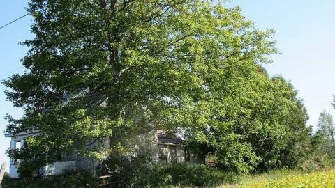 Sept 2015 - This-is-My-HouseHard-Island-Rd13.jpg