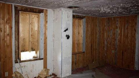 Sept 2015 - This-is-My-HouseHard-Island-Rd17.jpg