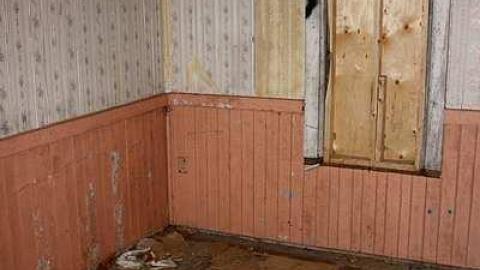 Sept 2015 - This-is-My-HouseHard-Island-Rd23.jpg