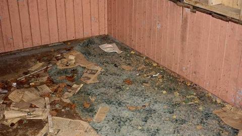 Sept 2015 - This-is-My-HouseHard-Island-Rd20.jpg