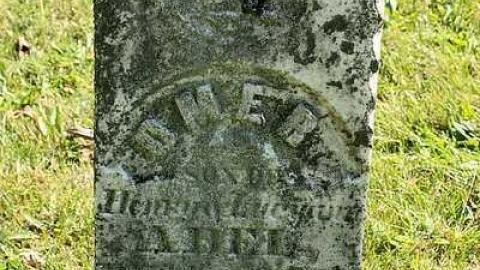 Sept 2015 - Bastard-(Lillie)-Cemetery2.jpg