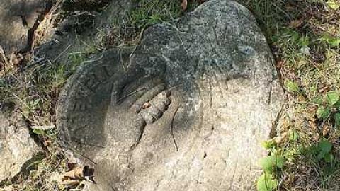 Photo from Sept 2015