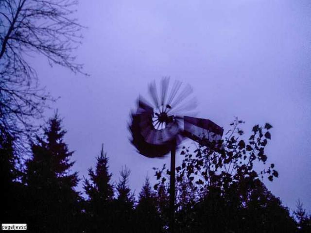 Arched Home & Warehouse photo 3