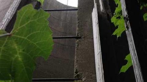 Sept 2015 - u-IMG_3987.jpg