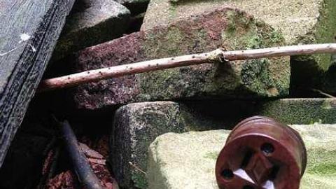 Sept 2015 - p-IMG_4005.jpg