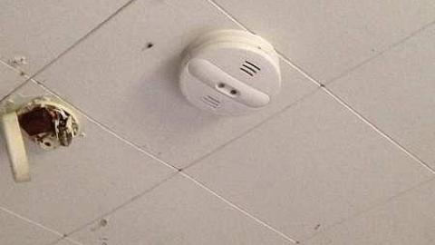 Sept 2015 - l-IMG_4054.jpg