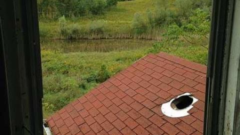 Sept 2015 - b-IMG_4086.jpg