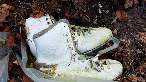 Maplegrove 5 - Maplegrove-No.-545.jpg