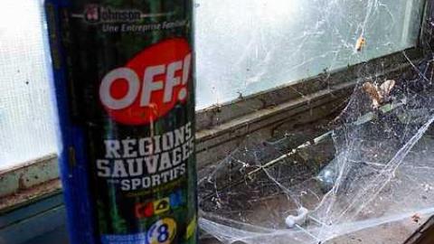 Maplegrove 5 - Maplegrove-No.-546.jpg