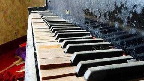 Grandiose Pianist - k-P1030990.jpg