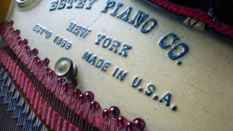 Grandiose Pianist - u-P1030992.jpg