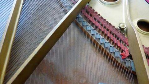 Grandiose Pianist - u-P1030993.jpg