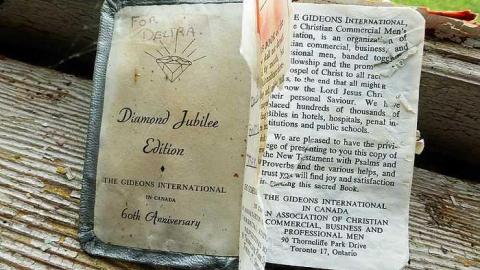 Grandiose Pianist - l-P1040001.jpg