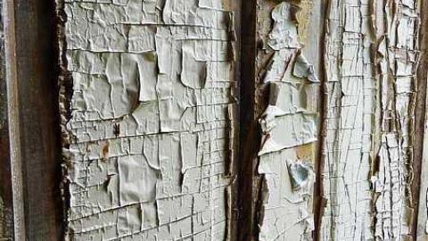 Grandiose Pianist - l-P1040009.jpg