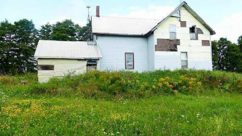 Grandiose Pianist - h-P1040010.jpg