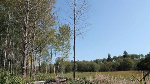 Gardiner House - Gardiner-House14.jpg