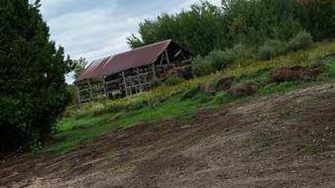 Little White House - Little-White-House2.jpg