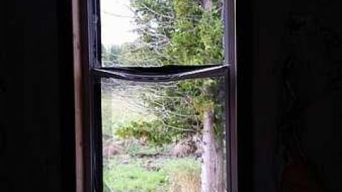 Little White House - Little-White-House16.jpg