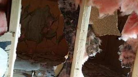 Little White House - Little-White-House8.jpg