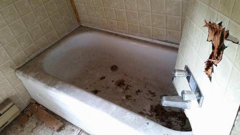 Little White House photo 5