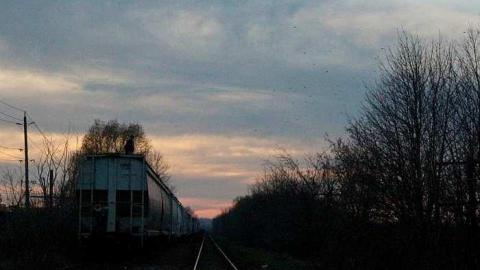 Photo from The train