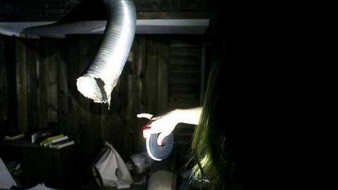 visit #2 - Cat-House1.jpg