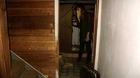 visit #2 - Cat-House33.jpg