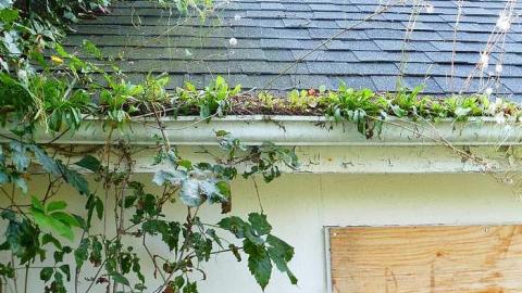 Cop Shop - Huronia-Regional-Centre77.jpg