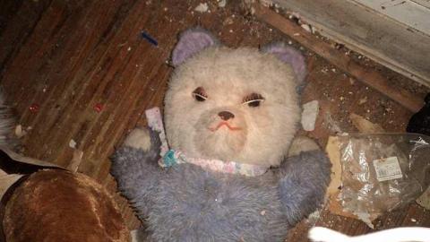 Omagh Junk House - s-DSC02628.jpg