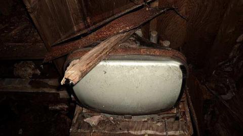 Mary Wilson - c-DSC02862.jpg