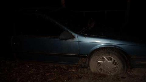 Mary Wilson - o-DSC02866.jpg