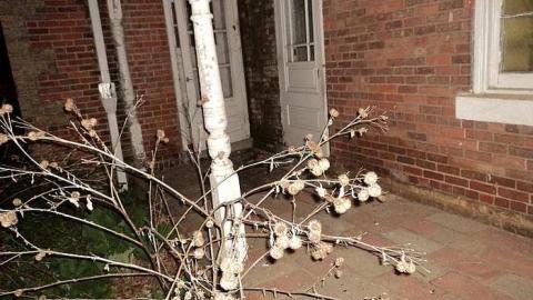 Ancaster Heritage Home - RussellChristie-House6.jpg