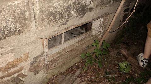 Photo from Collapsing Milton Farmhouse