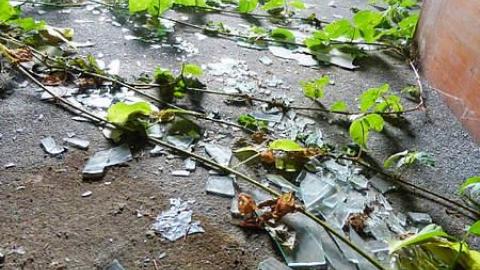 Sir Arthur - Sir-Arthur-Currie-Homestead36.jpg