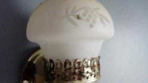 Sir Arthur - Sir-Arthur-Currie-Homestead40.jpg