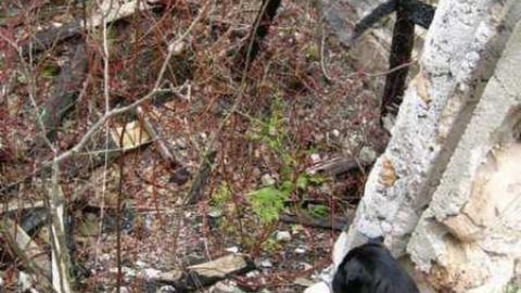 Wrigley's Spearmint Gum - IMG_3976.jpg