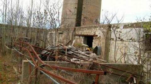 Wrigley's Spearmint Gum - IMG_3997.jpg