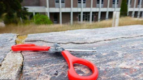 Too Cool For School - f-P1040527.jpg