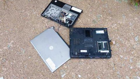 Too Cool For School - j-P1040529.jpg