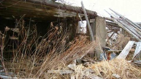 Wrigley's Spearmint Gum - IMG_4002.jpg