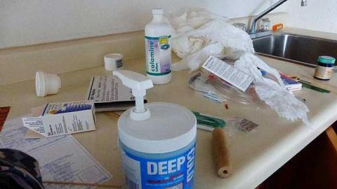 Too Cool For School - z-P1040555.jpg