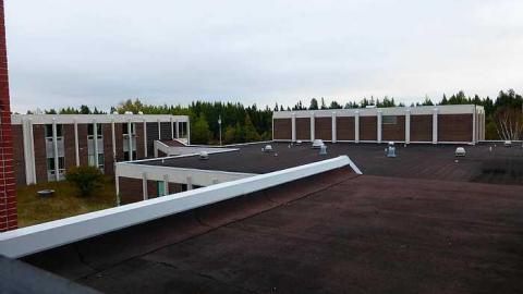 Too Cool For School - e-P1040559.jpg